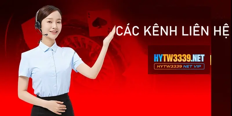 Hytw3339 cung cấp cho người chơi nhiều kênh liên hệ