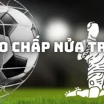 Kèo chấp nửa trái và bí quyết đặt cược bất bại từ cao thủ